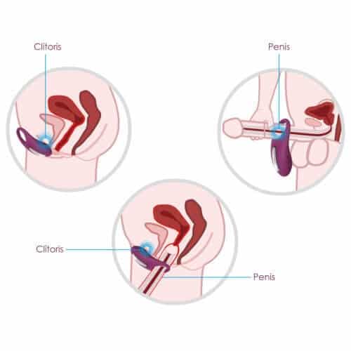Svakom Winni Remote Controlled Couples Cock Ring