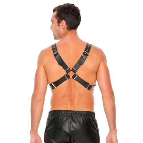 Leather Harness with Large Buckle One Size