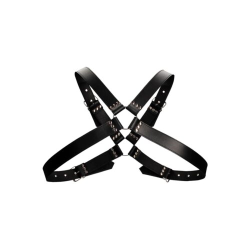 Leather Harness with Large Buckle One Size